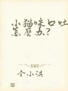 小猫咪口吐白沫怎么办?