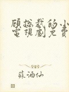 顾总裁的小甜心电视剧免费观看