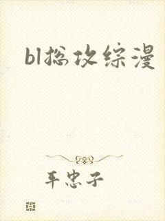 bl总攻综漫