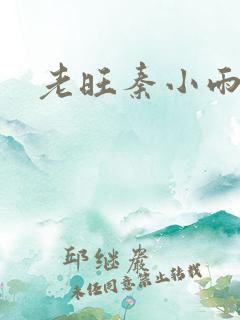 老旺秦小雨小说