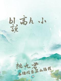 bl 高h 小说