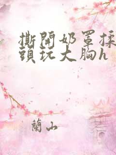 撕开奶罩揉吮奶头玩大胸h