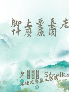 脚上爱长老茧是什么原因