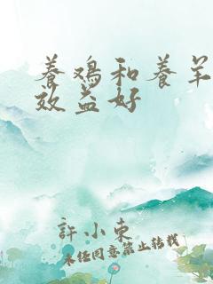 养鸡和养羊哪个效益好