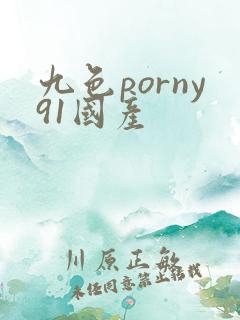 九色porny91国产