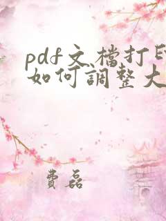 pdf文档打印如何调整大小