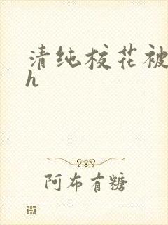 清纯校花被调教h