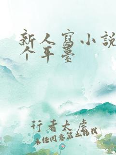 新人写小说去哪个平台