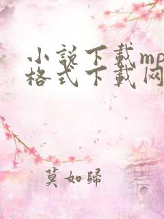小说下载mp3格式下载网站免费大全