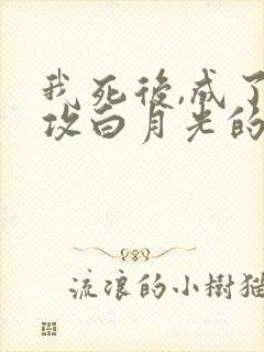 我死后,成了渣攻白月光的背后灵