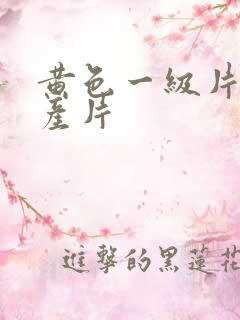黄色一级片,国产片
