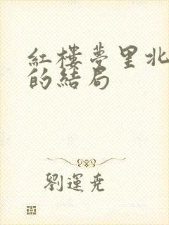 红楼梦里北静王的结局