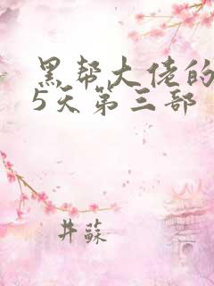 黑帮大佬的365天第三部