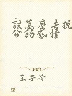该怎么去挽回老公的感情