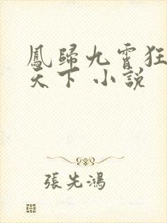 凤归九霄狂妃逆天下 小说