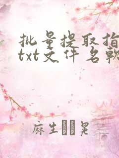 批量提取指定的txt文件名软件