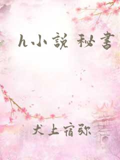 h小说 秘书