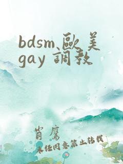 bdsm 欧美gay 调教