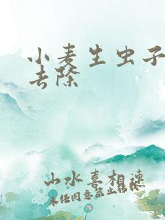 小麦生虫子怎么去除