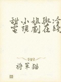 甜小姐与冷先生电视剧在线观看
