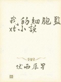 我的细胞监狱txt小说