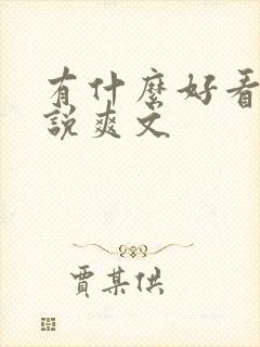 有什么好看的小说爽文