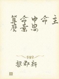 算命中命主是什么意思