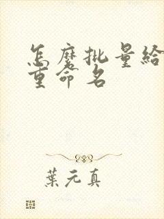 怎么批量给文件重命名