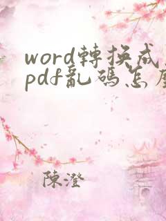 word转换成pdf乱码怎么解决