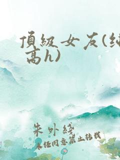 顶级女友(纯肉 高h)