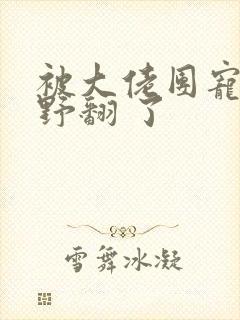 被大佬团宠后我野翻 了