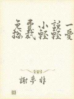 免费小说一霸道总裁轻轻爱