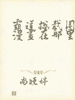 霸道总裁圈爱记漫画在哪里可以看