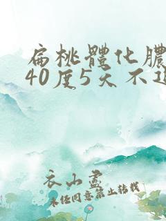 扁桃体化脓高烧40度5天不退