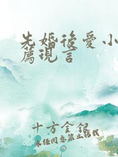 先婚后爱小说推荐现言