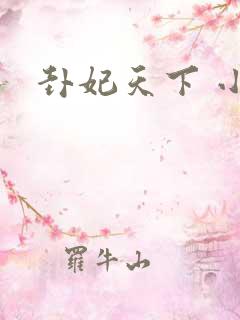 卦妃天下 小说