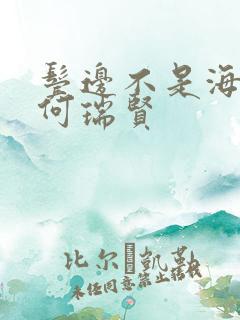 鬓边不是海棠红何瑞贤