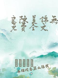 良陈美锦无弹窗免费全文