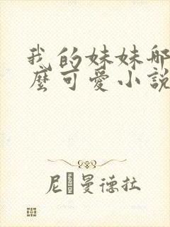 我的妹妹哪有这么可爱小说