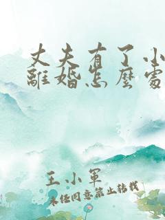 丈夫有了小三要离婚怎么处理