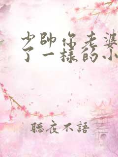 少帅你老婆又跑了一样的小说