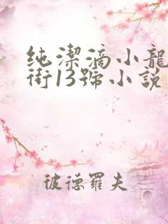 纯洁滴小龙明克街13号小说