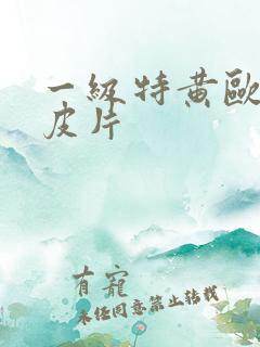 一级特黄欧美曰皮片