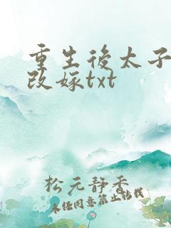 重生后太子妃要改嫁txt