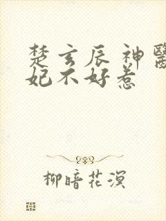 楚玄辰 神医毒妃不好惹