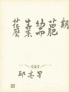 花生幼苗期用什么叶面肥