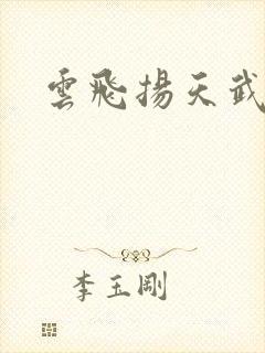 云飞扬天武神帝