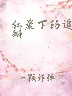 红岩下的追捕豆瓣
