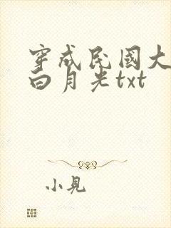 穿成民国大佬的白月光txt