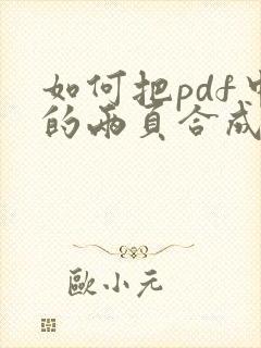 如何把pdf中的两页合成一页